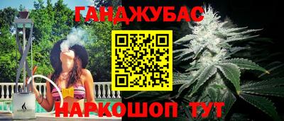амф Новокубанск
