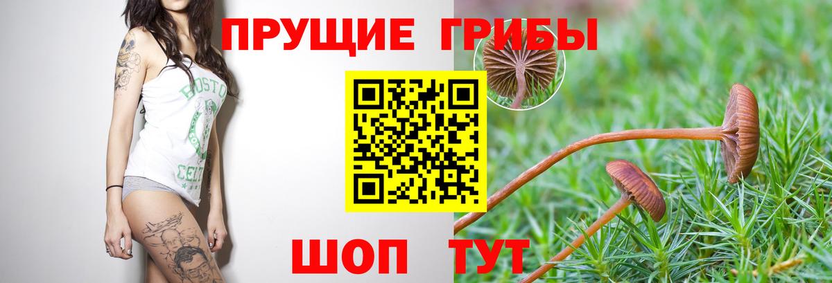 Псилоцибиновые грибы ЛСД  Вход с VPN  Томск  Галлюциногенные грибы MAGIC MUSHROOMS 